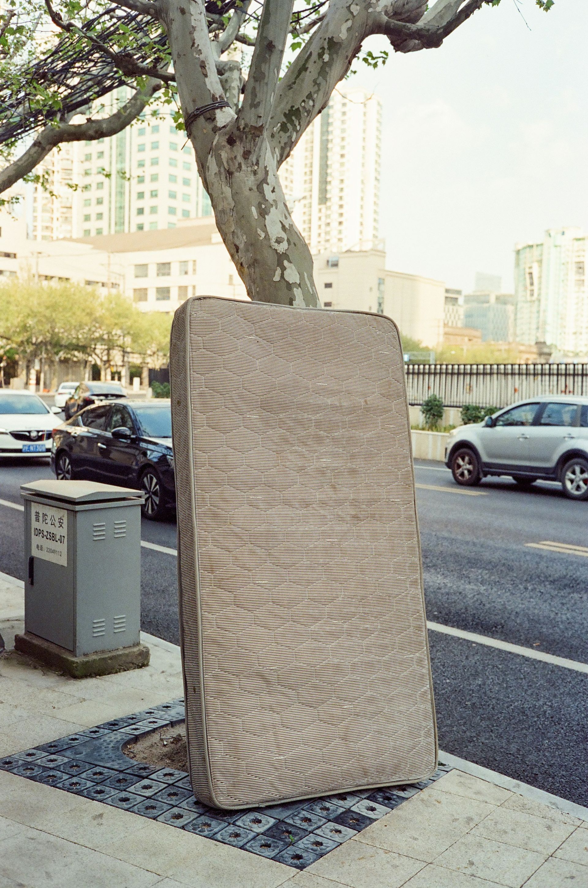 A mattress leans against a tree on the sidewalk.